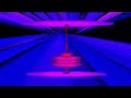 fast-fluxus