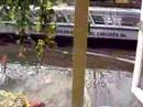 Amsterdam Houseboat for rent - Swans