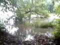 Taff overflows