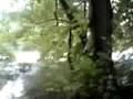 videos de Taff overflows