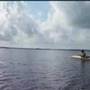 Manatee Encounter