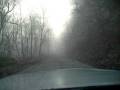 videos de Driving up Flat Hollow Road in South Portsmouth/ South Shore, Ky