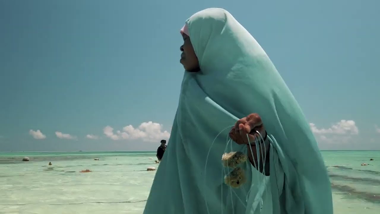 Il respiro dell'oceano | Zanzibar