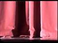 Bienvenida (Cirquality Show)