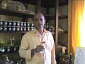 il giuggiolone il giuggiolone