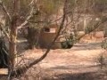 noviciado paintball vol 1