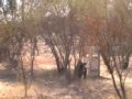 Noviciado Paintball vol 1