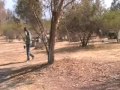 noviciado paintball vol 1