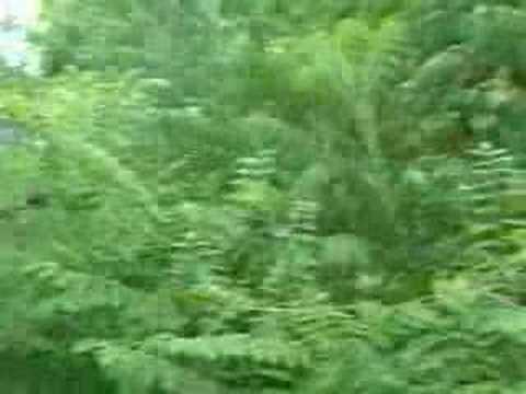 Mr. Moccasin "Baku" video off 2007 ...
