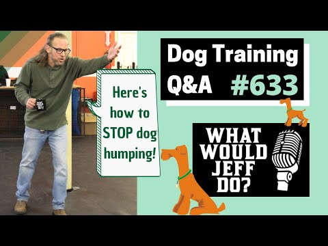 Dog Training - Soft Dogs - Stop Dog Humping - What Would Jeff Do? Q&A Ep.633 (2019)