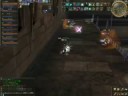 080824 LineageII ルウン攻城戦(ドビアンヌ)