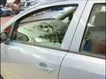 Opel Corsa a cura di AUTONEWSTV
