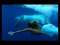 Hannah Mermaid & Whales in Tonga