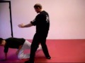 Wing Chun Seminar.wmv