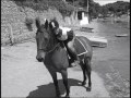 Marinka-The Best Pony In The World :)