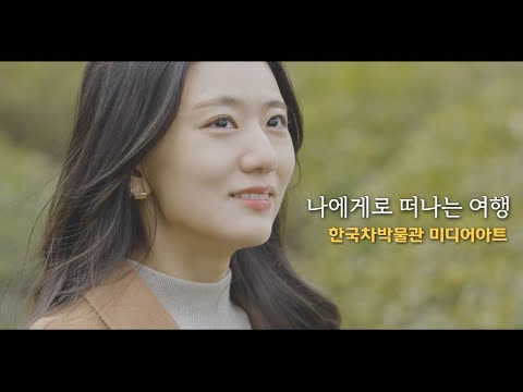 The museum of korea