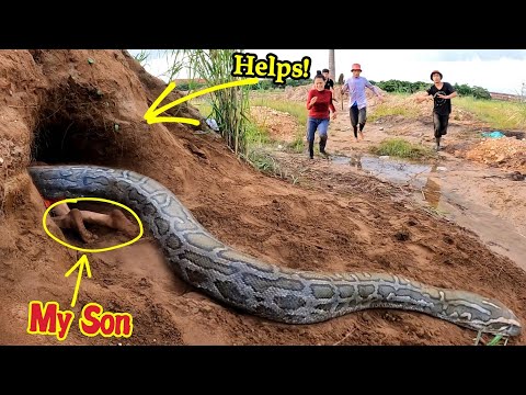 Brave Girl Screaming for Help as Her Son is Attacked by a Giant Snake | Mike Vlogs