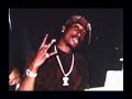 Tupac - Armed MC