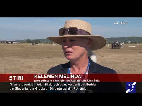Concurs internațional de atelaje