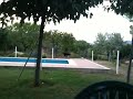 El Tro lesionat d'una pota, pobret !
