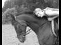 Mein Pferd ~ Rico ´s Geschichte ~