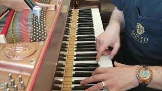 Aural PianoTuning: Baldassin-Sanderson Temperament Step-by-Step