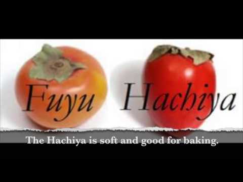 how to harvest persimmons
