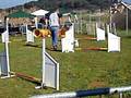 videos de 1' gara agility 2007/08