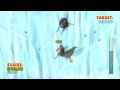 Ice Age : Continental Drift - Arctic Games Gameplay #5 (PC/HD)