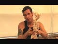 Navasana Yoga Posture (Boat Pose)