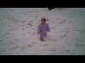 Akasha Making Her Way in the Snow