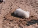 Unhook � la Faute sur Mer
