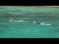 Heidi & Don on Palm Tree TV from St John VI USVI B VI