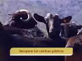 Cañadas reales cortadas en Lugros (Granada) Cañadas reales cortadas en Lugros (Granada)