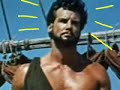 HERCUBUSH!
