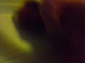 minha nossa 2! minha nossa 2!