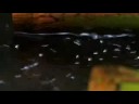 美しい日本シリーズ　空、水