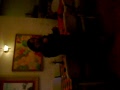 IMSS Leti Godinez cantando Estos Celos