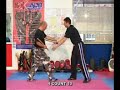Filipino Combat Systems Greece, 4 Count Instructional DVD