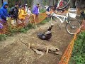 MOV03012.AVI