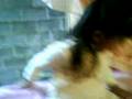 videos de NIÑA GROSERA ECATEPEC 4