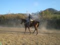 Piales estilo San Nico