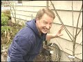Simply Gardening-Espallier Fruit Tree