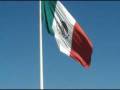 Odd News - Congresswoman Hangs Up on Barack Obama, Two Camels Roam Mexico, 9mm Medical Gun