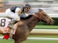 Mine That Bird Wins Kentucky Derby