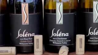 Spec's Wine, Spirits and Fine Foods - Challenges in Wine Retail
