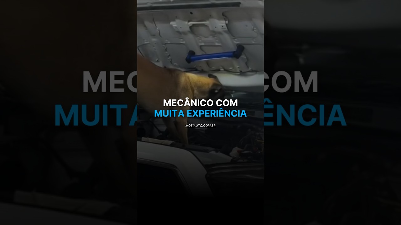 O VERDADEIRO MECÂNICO DE CONFIANÇA