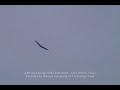 SAE Aero Design 2007 - Flutter