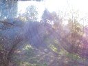 John climbing hill at Piney Grove