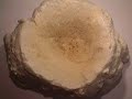 WOUND HEALING.mov